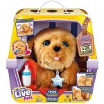 Cobi LITTLE LIVE PETS Moje vysněné štěňátko – Zboží Dáma