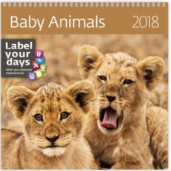 Nástěnný Baby Animals 2018 alternativy - Heureka.cz