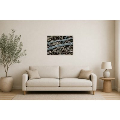 Obraz na plátně – Propletená mikroskopická vlákna 80 × 60 cm – Hledejceny.cz