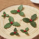 PME Cesmína – sada 2 ks, vykrajovátka s pístem – Zboží Mobilmania