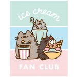 Halantex Coral fleece deka kočička Pusheen motiv Ice Cream Fan Club – Hledejceny.cz