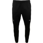 Puma pánské tepláky Slavia teamFINAL Training pants černá – Sleviste.cz