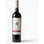Ichanka Vichigasta Estate Vineyard Malbec Bonarda Blend suché červené 2021 13,5% 0,75 l (holá láhev) – Hledejceny.cz