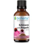 Bioherba Přírodní tinktura třapatka a propolis 20 ml – Hledejceny.cz