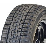 Firestone Winterhawk 2 EVO 225/55 R16 99H – Hledejceny.cz