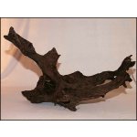 Decor wood Kořen Driftwood velký 35-55 cm – Hledejceny.cz