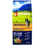 Ontario Adult Medium Lamb & Rice 20 kg – Sleviste.cz