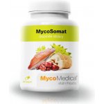 MycoMedica MycoSomat 90 kapslí – Zbozi.Blesk.cz