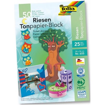 Folia 655 Blok z výtvarného papíru cca 24 x 34 cm 50 listů různé barvy – Hledejceny.cz