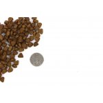 Marp Holistic Chicken CAT kuřecí bez obilovin 2 kg – Zbozi.Blesk.cz