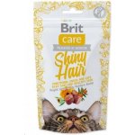 Brit Care Cat Snack Shiny Hair losos 50 g – Zboží Mobilmania