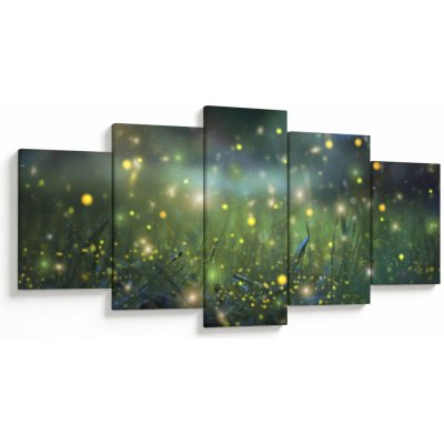 Obraz - Kouzelná noc, pětidílný 150x80 cm – Hledejceny.cz
