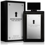 Antonio Banderas The Secret toaletní voda pánská 100 ml – Zboží Mobilmania