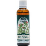 Naděje Brusinka tinktura z pupenů rostlin 50 ml – Hledejceny.cz