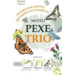 Motýlí pexetrio – Hledejceny.cz