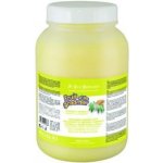 Iv San Bernard Maska ZENZERO-SAMBUCO zázvor, bezinky 1000 ml – Zboží Dáma