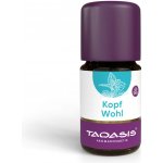 Taoasis Směs éterických olejů Head Well BIO 5 ml – Hledejceny.cz