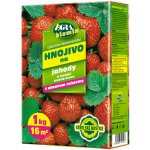 Forestina BIOMIN hnojivo na jahody 1 kg – Zbozi.Blesk.cz