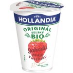 Hollandia BIO selský jogurt jahody 180 g – Sleviste.cz