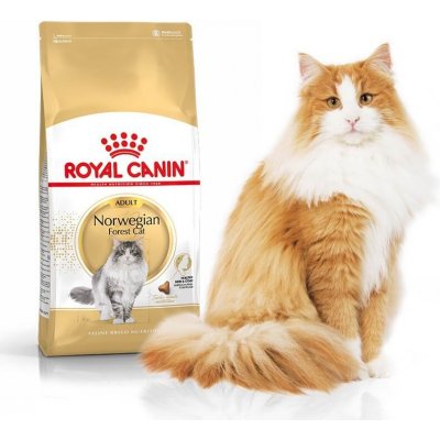 Royal Canin Norwegian Forest Cat Adult 2 kg – Zboží Mobilmania