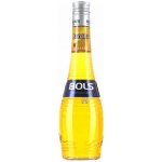 Bols Banana 17% 0,7 l (holá láhev) – Zboží Dáma