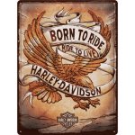 Nostalgic Art Plechová cedule Harley-Davidson Born to Ride 40 x 30 cm