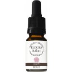 Bachovy květové Bio esence Cesmína ostrolistá Holly 10 ml – Hledejceny.cz
