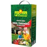 AGRO FLORIA Travní směs Král trávníků 2 kg – Zboží Mobilmania