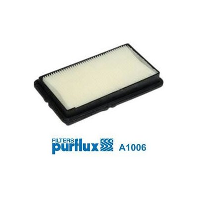 Vzduchový filtr PURFLUX A1006 – Hledejceny.cz