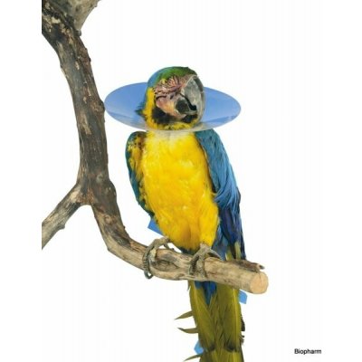 KRUUSE Plastový ochranný límec Bird Collar pro ptáky 20 cm – Hledejceny.cz