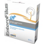 ICF Enterofilus 12 x 10 ml – Hledejceny.cz