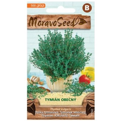 MoravoSeed CZ a.s. MoravoSeed Tymián obecný