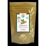 Salvia Paradise Ašvanganda prášek mletý kořen 250 g – Sleviste.cz