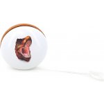 Vilac Dřevěné jojo T Rex – Zboží Dáma