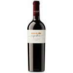 Clos de Lôm Isidra suché červené 2018 14,5% 0,75 l (holá láhev) – Hledejceny.cz