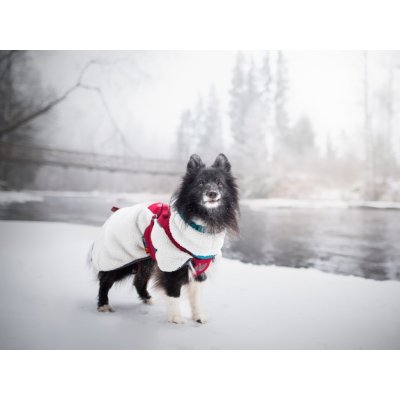 Non stop dogwear Trekking fleece jacket – Zbozi.Blesk.cz