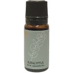 ARÔME Esenciální olej Eukalyptus 10 ml – Hledejceny.cz