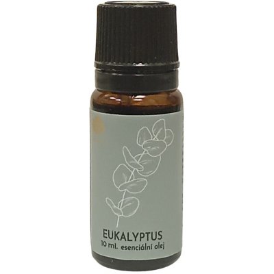 ARÔME Esenciální olej Eukalyptus 10 ml – Hledejceny.cz