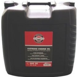 Briggs & Stratton SAE 30 25 l