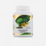 Golden Nature Kotvičník zemní 90 % saponinu 100 tablet 6 x 100 tablet – Hledejceny.cz