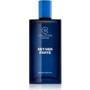 Collistar Vetiver Forte toaletní voda pánská 100 ml