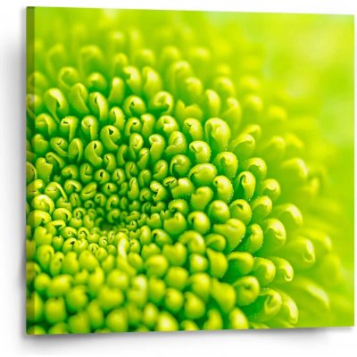 Sablio Obraz Detail květiny - 110x110 cm – Hledejceny.cz