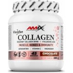 Amix Collagen Viscofan pinacolada 300 g – Hledejceny.cz