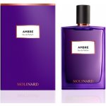 Molinard Les Elements Collection Ambre parfémovaná voda unisex 75 ml – Hledejceny.cz