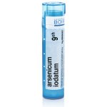 ARSENICUM IODATUM POR 15CH GRA 1X4G – Hledejceny.cz