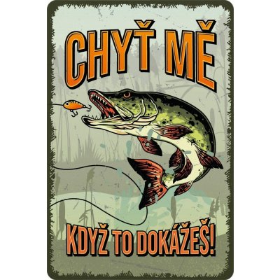 Nekupto Plechová cedule Chyť mě, když to dokážeš Bu20034 – Hledejceny.cz