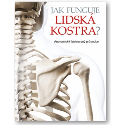 Jak funguje lidská kostra? - Anatomický ilustrovaný průvodce - Kol. – Zbozi.Blesk.cz