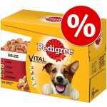 Pedigree Vital Protection 100% kompletní výživa v želé 12 x 100 g – Hledejceny.cz