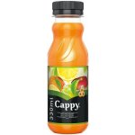 Cappy Multivitamin 330 ml – Zboží Dáma