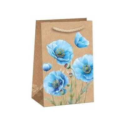ARGUS Dárková papírová taška T1N (10 x 16 cm) 07140150 – Zboží Živě